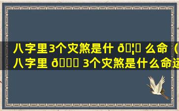 八字里3个灾煞是什 🦋 么命（八字里 🐈 3个灾煞是什么命运）